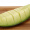 宏辉果蔬 海阳 网纹瓜 2个装 净重约2.5-3kg 新鲜水果