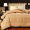 南极人（NanJiren）枕芯 丝绒酒店高弹安睡枕头 单个装 序曲