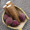 山药&小紫薯 平安定制组合 产地直供 新鲜蔬菜