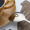 阳光飞歌 304不锈钢餐具勺子 韩式餐勺学生家用主餐勺饭勺搅拌勺咖啡勺 （大号）0051