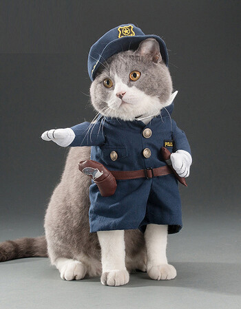 可爱搞怪宠物猫狗狗直立装变身装护士装警察牛仔皇帝个性搞笑衣服lj