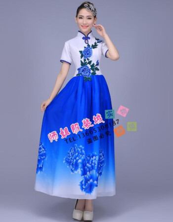 阿坡饵新款青花瓷演出服大合唱服民乐古筝葫芦丝服装二胡古典舞长裙