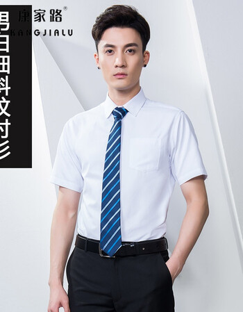 短袖衬衫夏大码公务员工作服教师资格证面试服装 男短袖白细斜纹衬衫