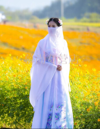 古装女仙女襦裙飘逸广袖清新淡雅樱花汉服公主学生仙服装中国风yqy