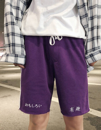 袋鼠港风2018男士有趣刺绣短裤运动裤松紧休闲裤 紫色