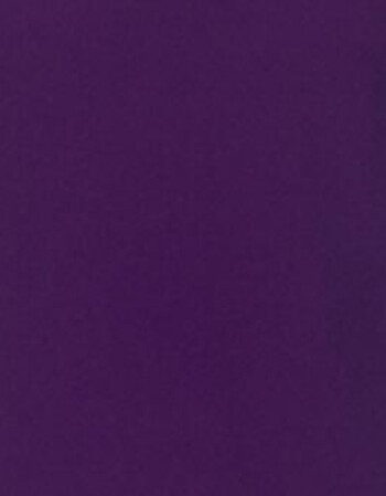 2018日系纯色短袖polo衫男女夏t恤大码保罗衫团队定制 深紫色 l