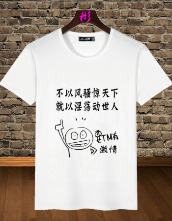 创意个性潮男短袖搞怪恶搞笑字体文字汉字衣服天t恤汉字暴走 漫画 惊