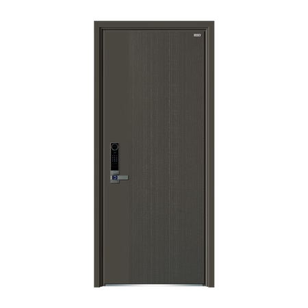 九皇九皇安全門TS-8028家用入戶門甲級保溫隔音門子母門防...