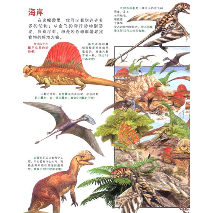 孩子最喜爱的动物书:恐龙