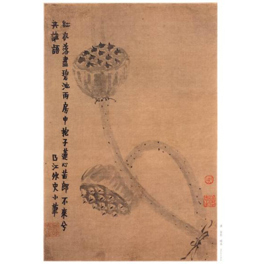 中国古代绘画精品集:金农花卉册页(1)