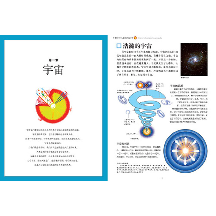 锹甲 萤火虫
