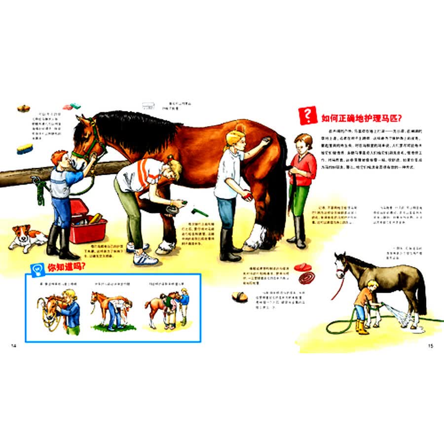 中国第一套儿童情景百科:马(儿童版)
