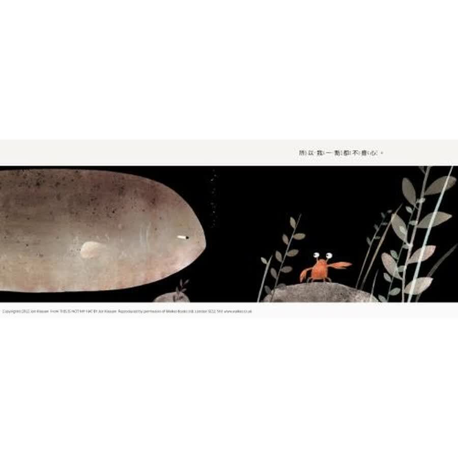 《这不是我的帽子》(雍·卡拉森 (jon klassen))- 京东图书_ 5折现价