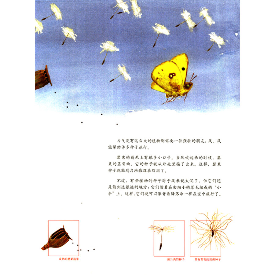 《发现自然之美科普绘本:一粒种子的旅行+世界上最的