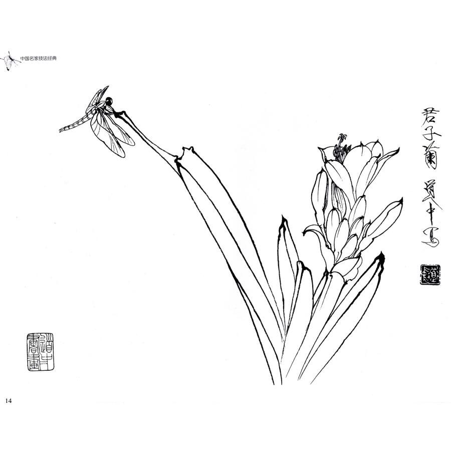 中国名家技法经典:王道中工笔草虫白描