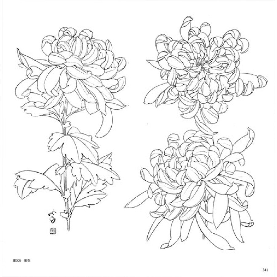 美术技法经典系列:花卉写生构图(下)