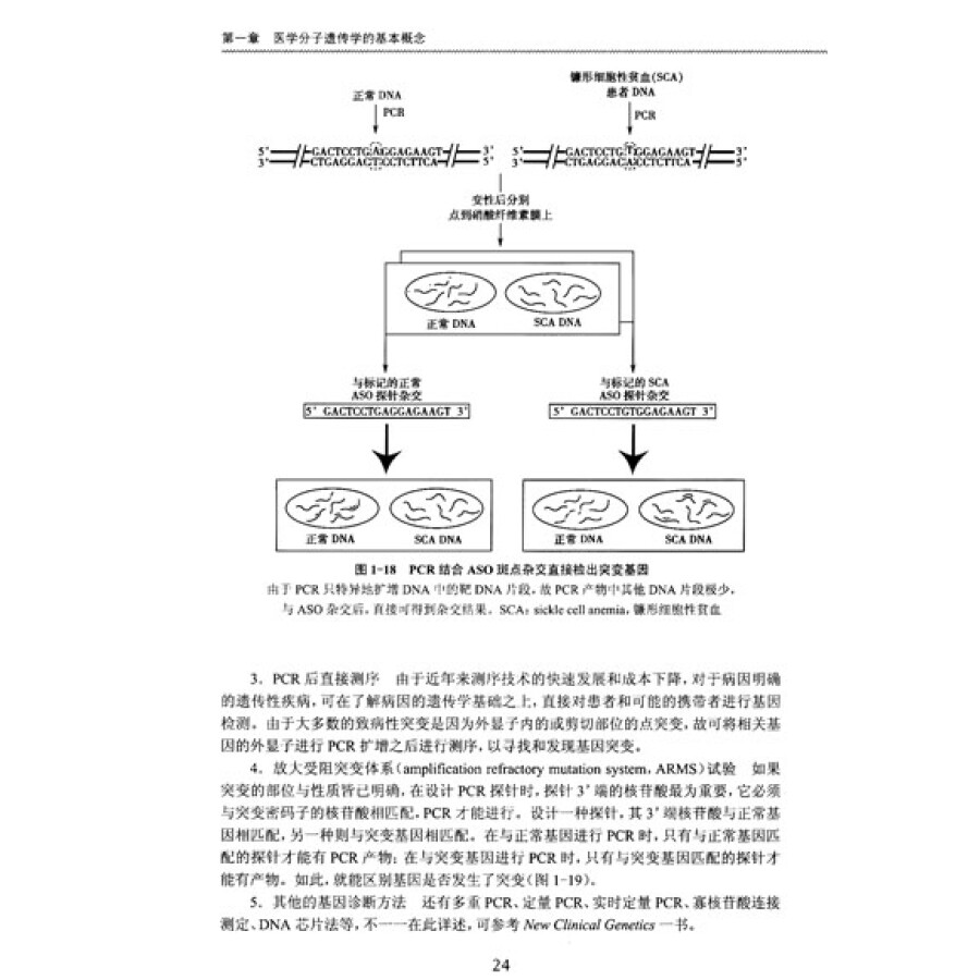 实用女性生殖内分泌学