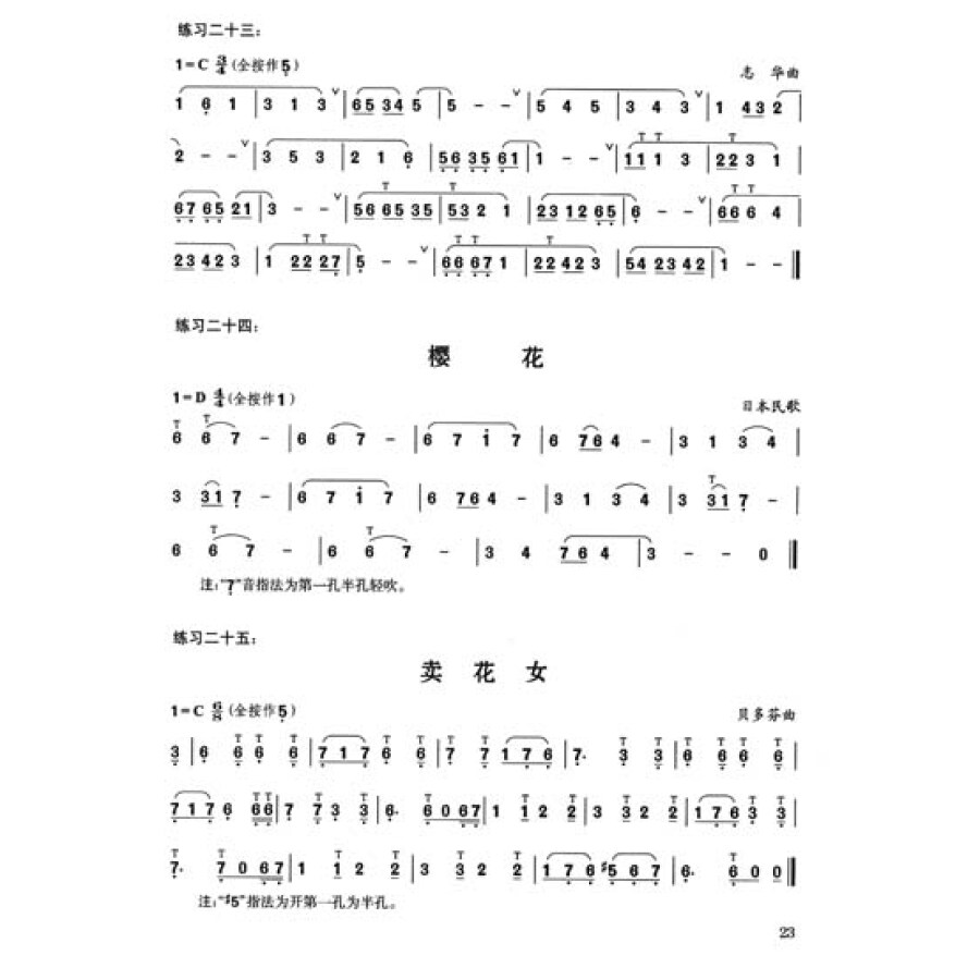 巴乌 沧海一声笑曲谱