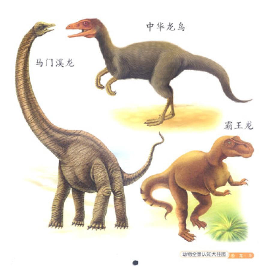 动物全景认知大挂图:恐龙和史前动物