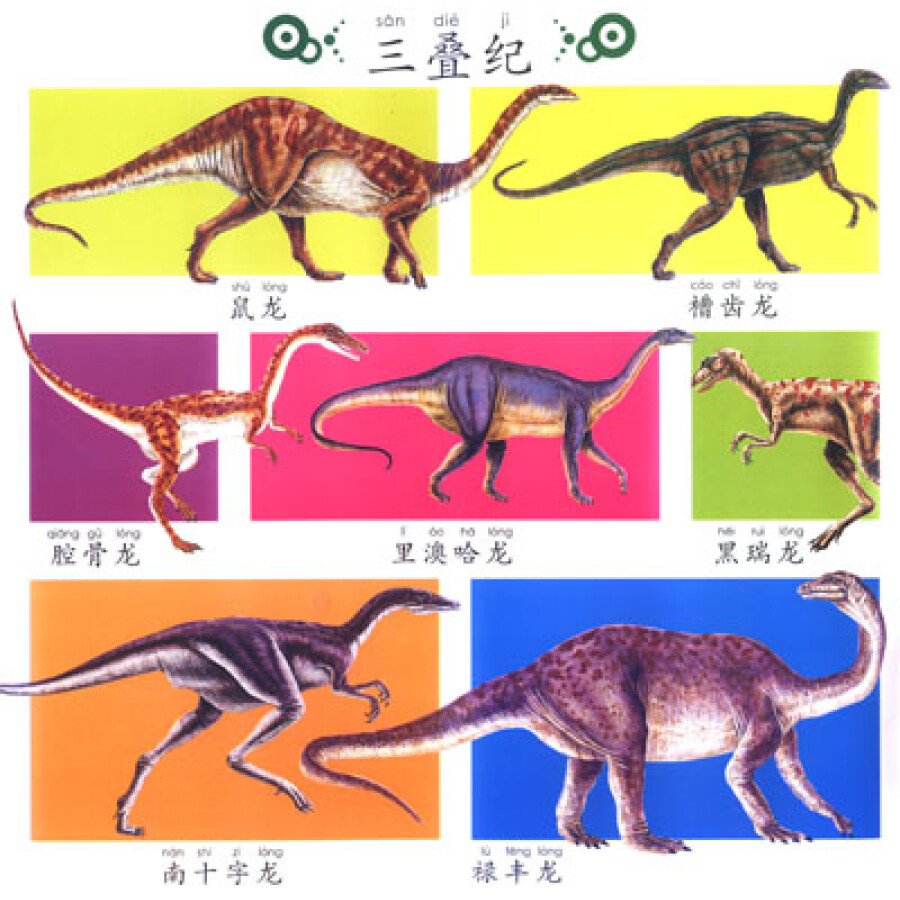 小朋友·认知100系列:恐龙100
