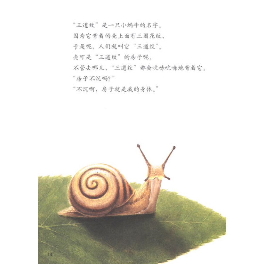 大自然科学童话绘本:蜗牛在雨天里跳舞