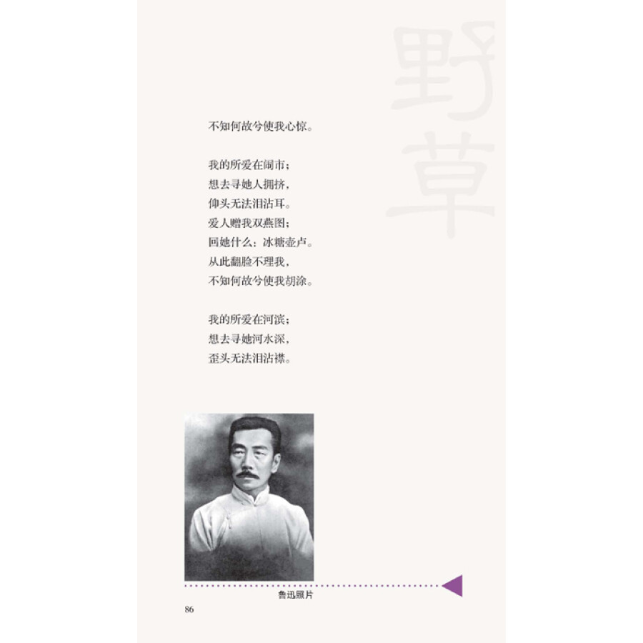 轻阅读:鲁迅经典·朝花夕拾·野草
