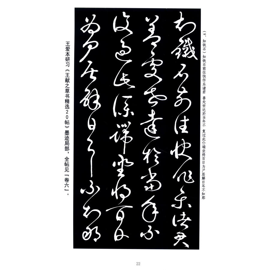 王爱本研习历代草书经典名帖墨迹选(卷二十):历代草书墨迹欣赏(古今