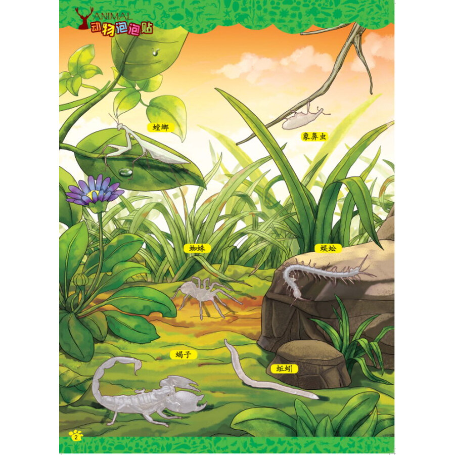 动物泡泡贴:昆虫世界