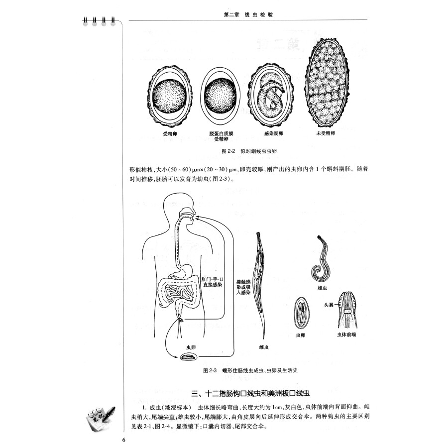 线虫检验,吸虫检验,绦虫检验,原虫检验,医学节肢动物检验,寄生虫感染