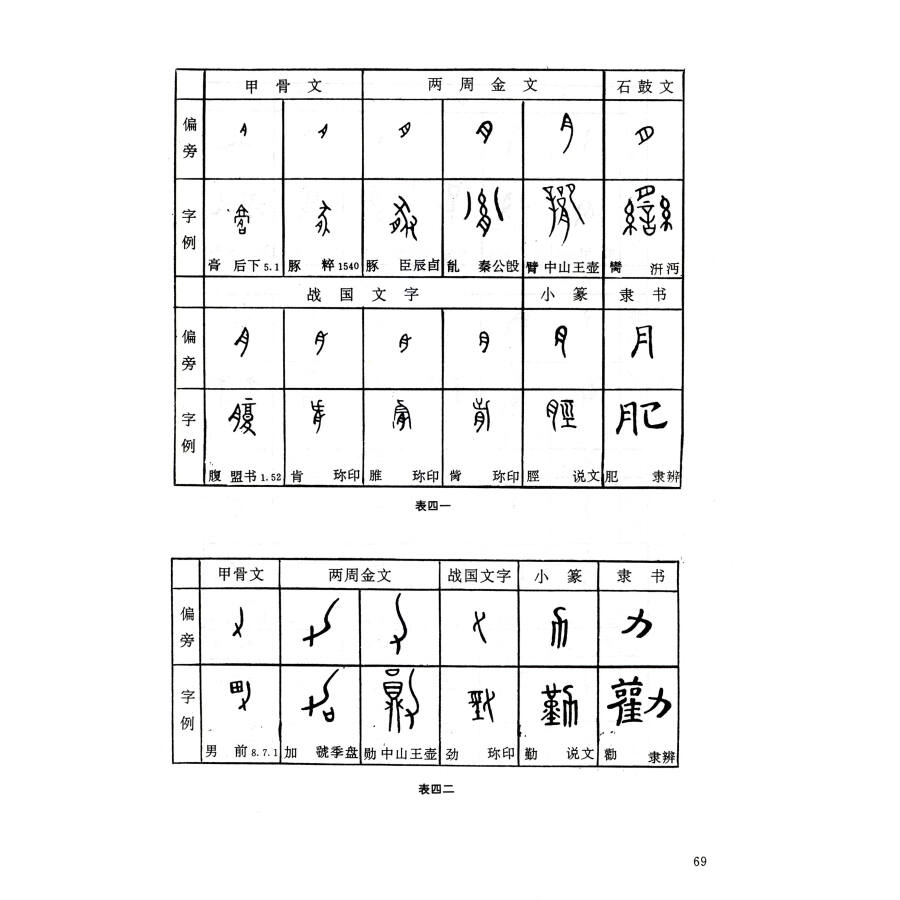 中国古文字学通论