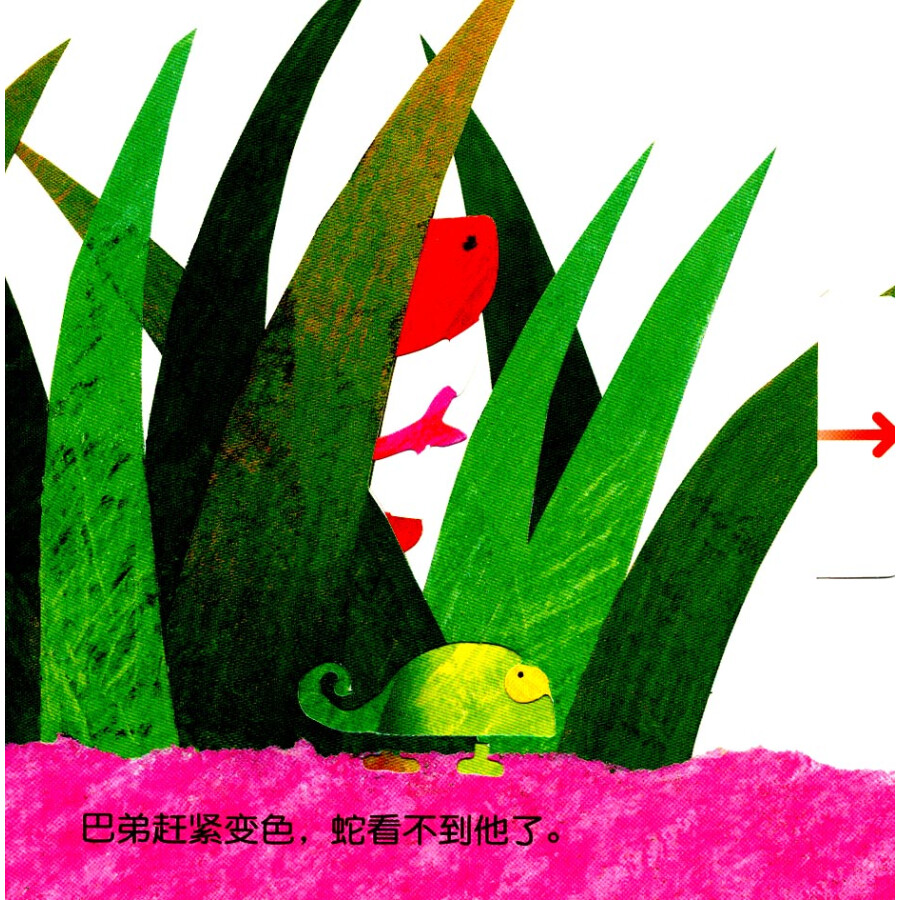 信谊宝宝起步走:变色龙捉迷藏