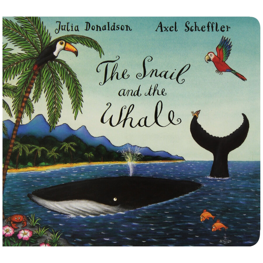the snail and the whale and room on the broom board book gift