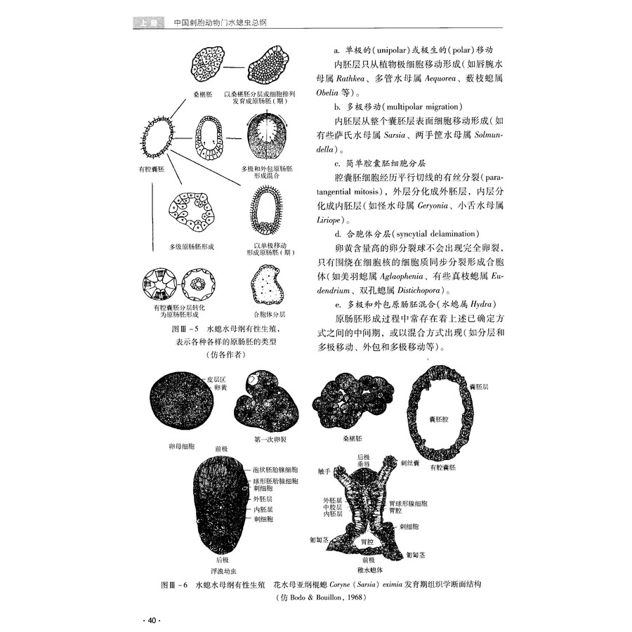 中国刺胞动物门水螅虫总纲(套装上下册)