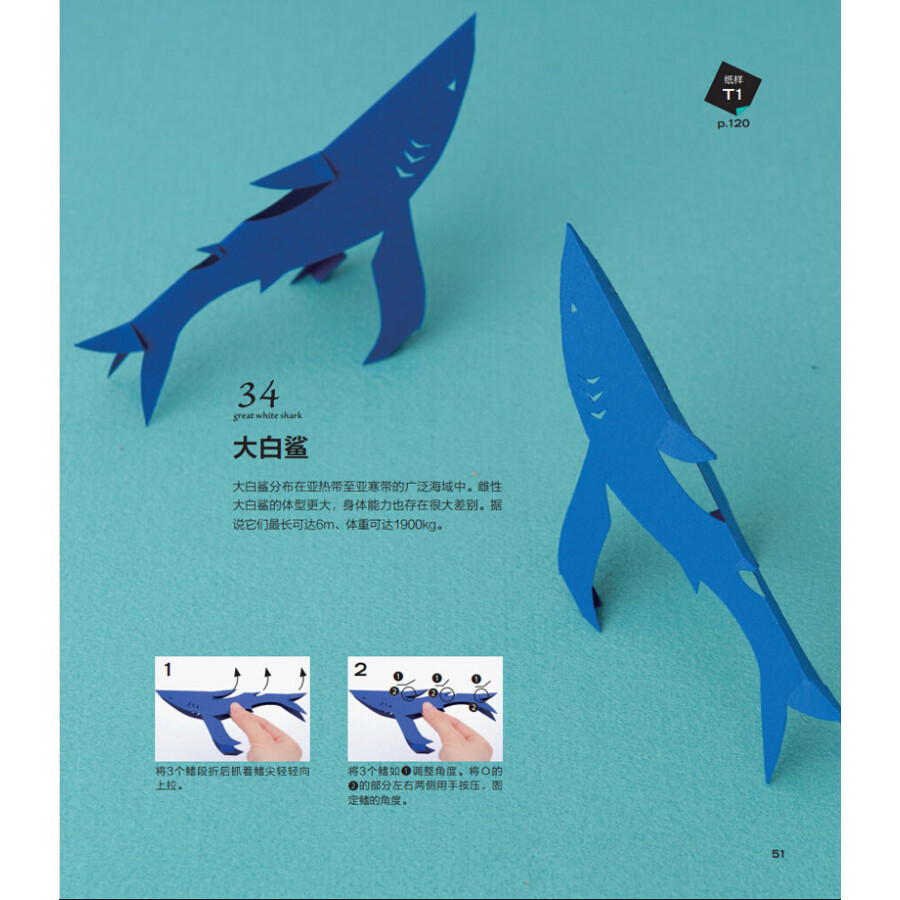 可以站起来的剪纸:儿童立体剪纸之动物园·水族馆篇