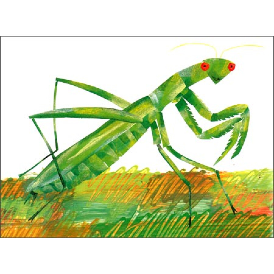 信谊绘本世界精选图画书:好安静的蟋蟀