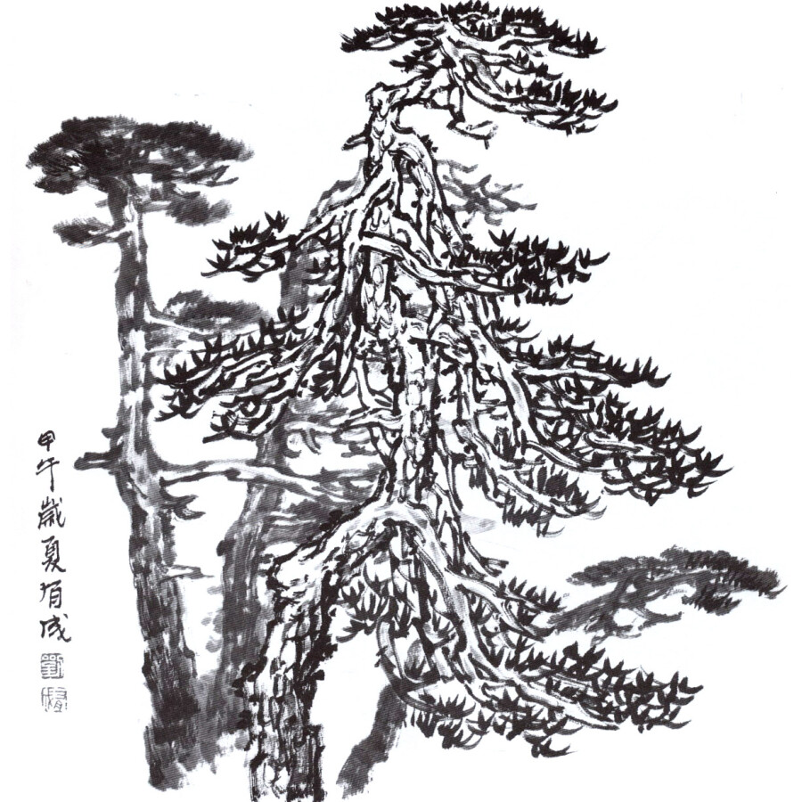 实用白描画稿:黄山松百态