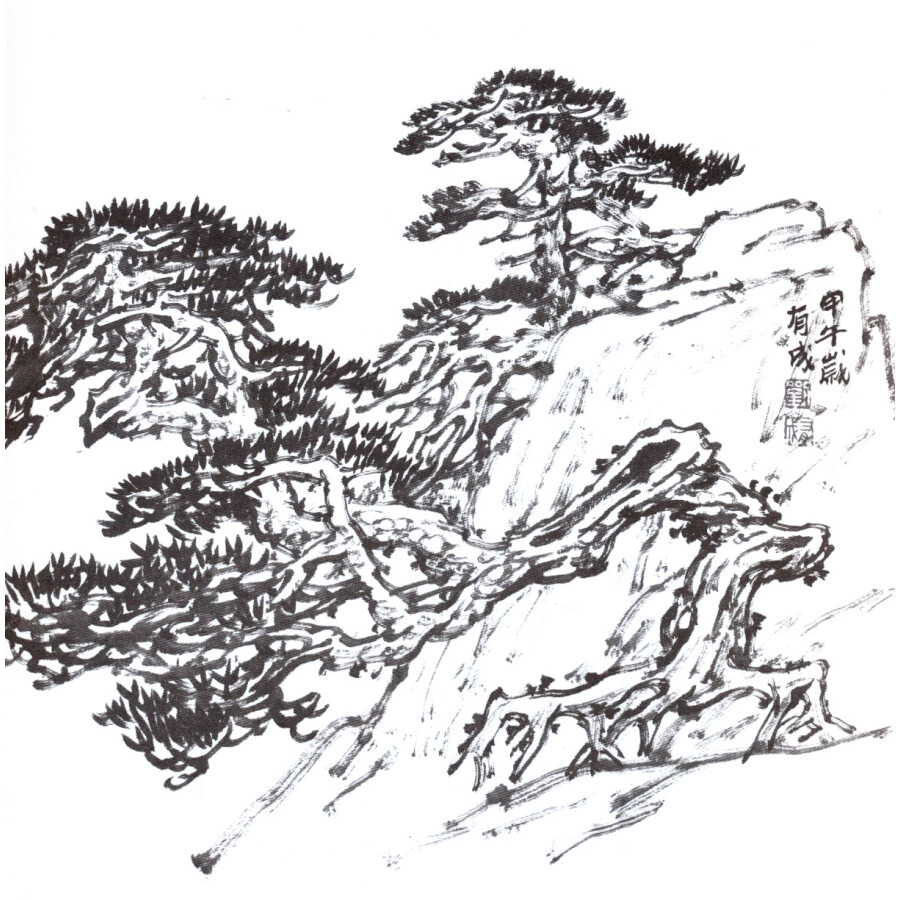 实用白描画稿:黄山松百态