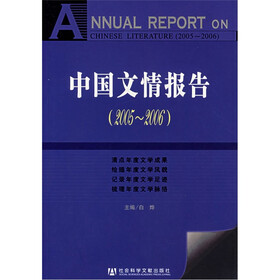 中国文情报告（2005-2006）