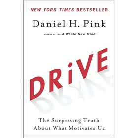 Drive: The Surprising Truth About What Motivates Us
