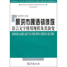 景洪市嘎洒镇傣族语言文字使用现状及其演变