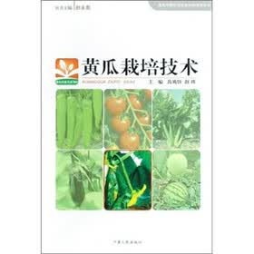 黄瓜栽培技术