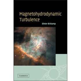 Magnetohydrodynamic Turbulence