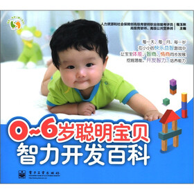悦然·亲亲小脚丫系列：0～6岁聪明宝贝智力开发百科