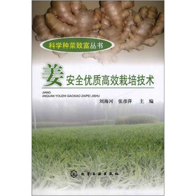 姜安全优质高效栽培技术