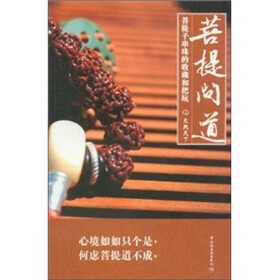 菩提问道：菩提子串珠的收藏和把玩