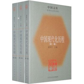 中国现代化历程:哲学社会科学类(共3册)