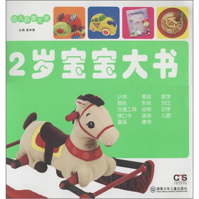 幼儿启蒙大书：2岁宝宝大书