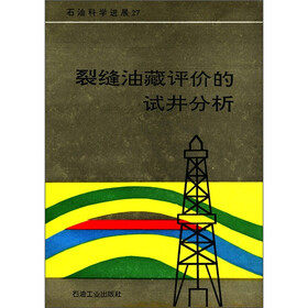 石油科学进展27：裂缝油藏评价的试井分析