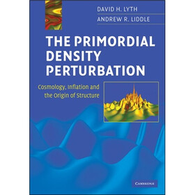 The Primordial Density Perturbation