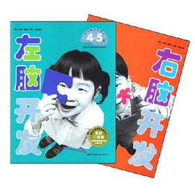 左右脑开发(4-5岁)(最新升级版)(套装共2册)